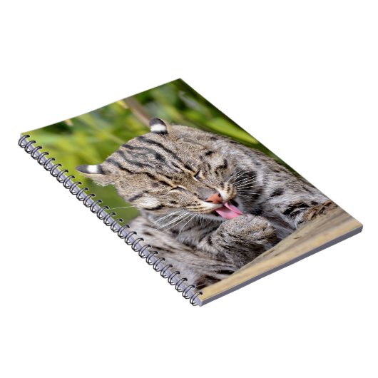 Portret van de kat notitieboek (Rechterzijde)