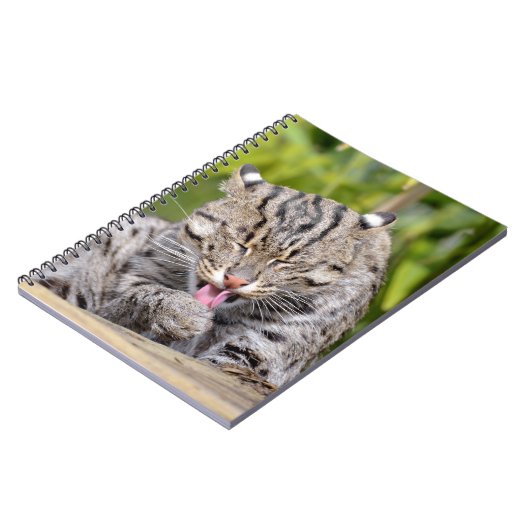 Portret van de kat notitieboek (Linkerzijde)