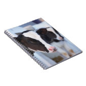Portret van de koe notitieboek (Rechterzijde)