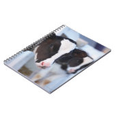 Portret van de koe notitieboek (Linkerzijde)