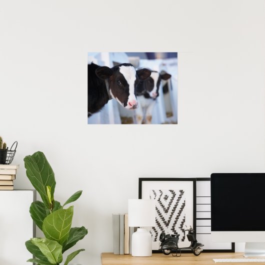 Portret van de koe poster (Thuiskantoor)