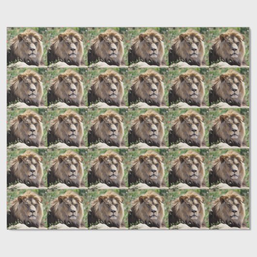 Portret van de leeuw van voren gezien cadeaupapier (Vlak)