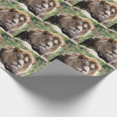 Portret van de leeuw van voren gezien cadeaupapier (Hoek)