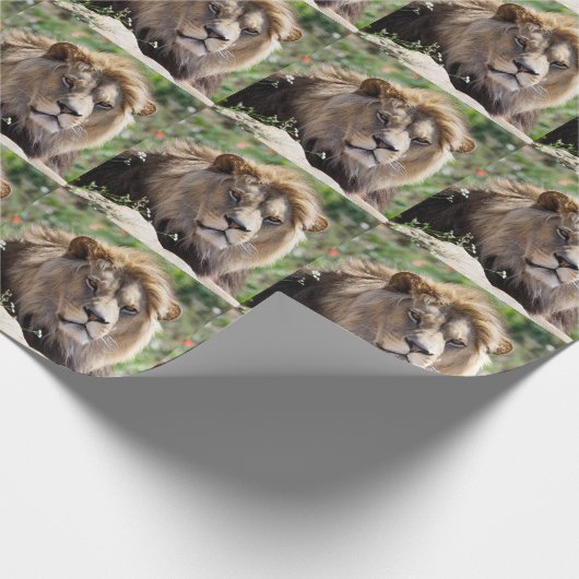 Portret van de leeuw van voren gezien cadeaupapier (Hoek)