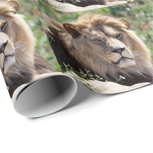 Portret van de leeuw van voren gezien cadeaupapier (Rol Hoek)