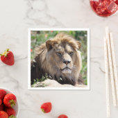 Portret van de leeuw van voren gezien servet (Insitu)