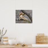 Portret van de mannetjesaap Golden in boom Poster (Keuken)