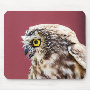 Portret van de Noordelijke Saw-Whet Owl Muismat