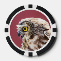 Portret van de Noordelijke Saw-Whet Owl