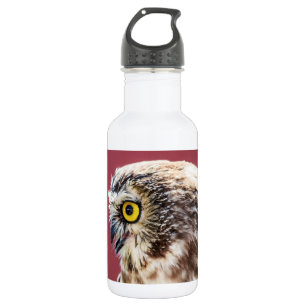 Portret van de Noordelijke Saw-Whet Owl Waterfles
