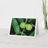 Portret van de notenboom kaart (Voorkant)