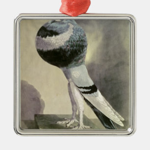 Portret van de Pouter Pigeon Metalen Ornament