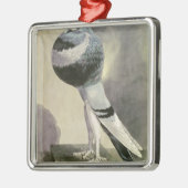 Portret van de Pouter Pigeon Metalen Ornament (Links)