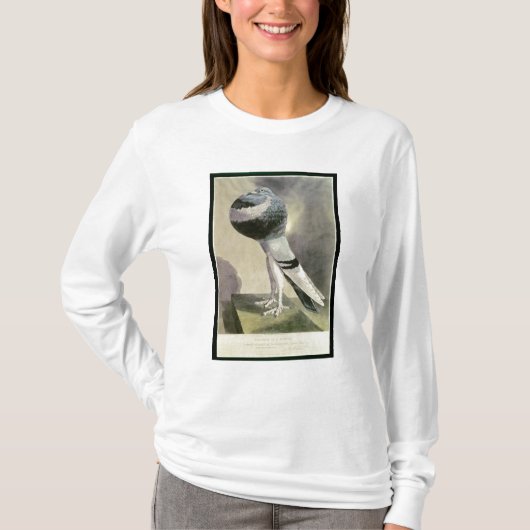 Portret van de Pouter Pigeon T-shirt (Voorkant)