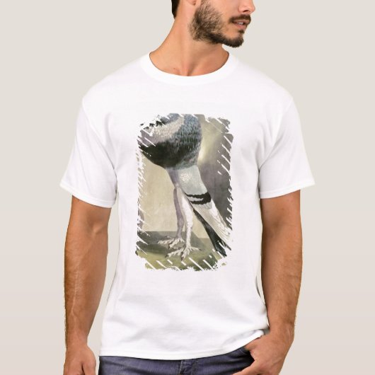 Portret van de Pouter Pigeon T-shirt (Voorkant)