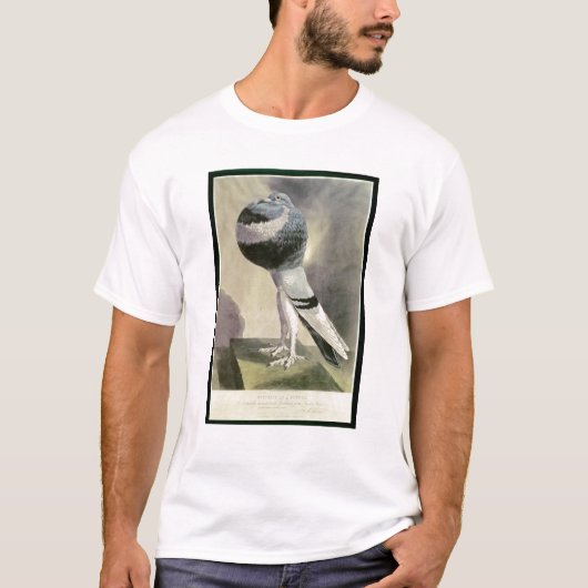 Portret van de Pouter Pigeon T-shirt (Voorkant)