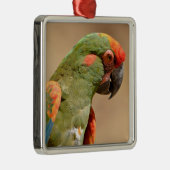 Portret van de rode ara metalen ornament (Rechts)