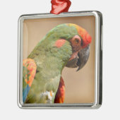 Portret van de rode ara metalen ornament (Links)