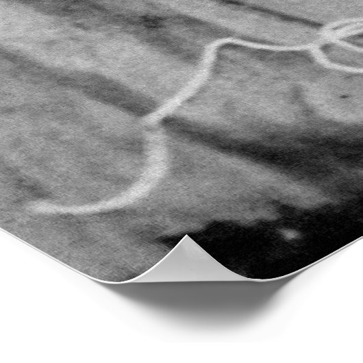 Portret van de Sojourner Truth Poster (Hoek)