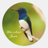 Portret van de Stickers van de Overzichtsronde (Voorkant)