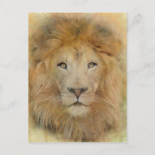 Portret van de Waterverf van het Afrikaanse Lion W Briefkaart