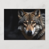 Portret van de wolf briefkaart (Voorkant)