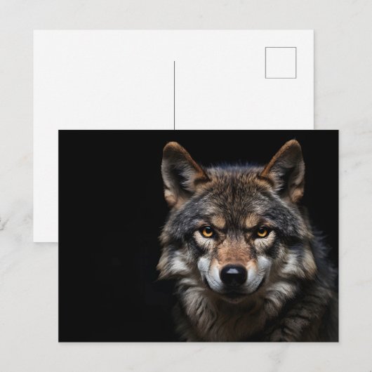 Portret van de wolf briefkaart (Voorkant / Achterkant)