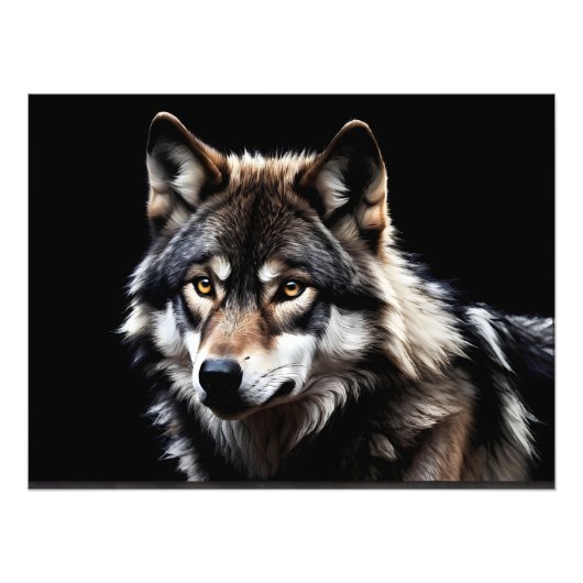 Portret van de wolf foto afdruk (Voorkant)