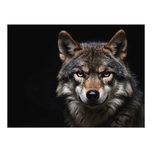 Portret van de wolf foto afdruk (Voorkant)