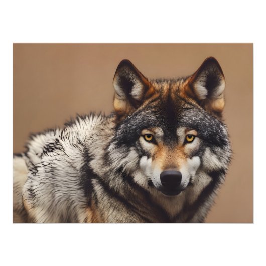 Portret van de wolf foto afdruk (Voorkant)