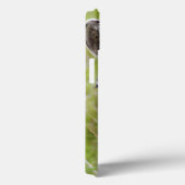 Portret van de Zebra van de vlakten, Hluhluwe-Umfo Case-Mate iPhone Case (Achterkant / Rechts)