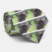 Portret van de Zuid-Amerikaanse tapir Stropdas (Opgerold)