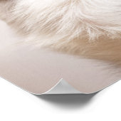 Portret van de zwarte en witte shetlandehond poster (Hoek)