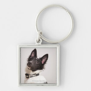 Portret van de zwarte en witte shetlandehond sleutelhanger