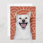 Portret van Dog 3 Briefkaart (Voorkant / Achterkant)