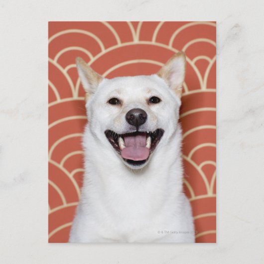 Portret van Dog 3 Briefkaart (Voorkant)