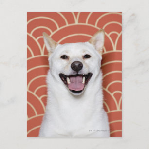 Portret van Dog 3 Briefkaart