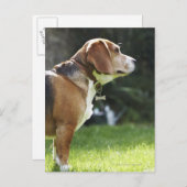 Portret van Dog Briefkaart (Voorkant / Achterkant)
