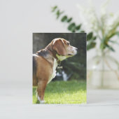 Portret van Dog Briefkaart (Staand voorkant)