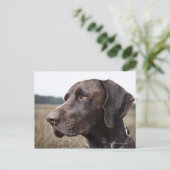 Portret van Dog, Houston, Texas, VS Briefkaart (Staand voorkant)