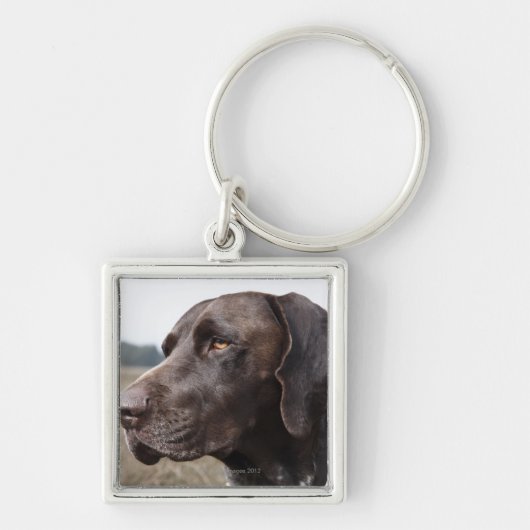 Portret van Dog, Houston, Texas, VS Sleutelhanger (Voorkant)