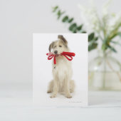 Portret van Dog met Leash Briefkaart (Staand voorkant)