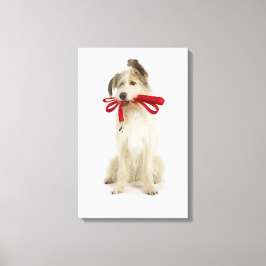 Portret van Dog met Leash Canvas Afdruk (Voorkant)
