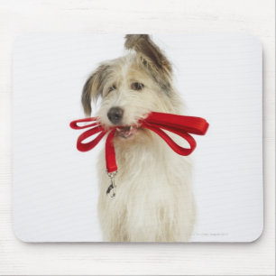 Portret van Dog met Leash Muismat