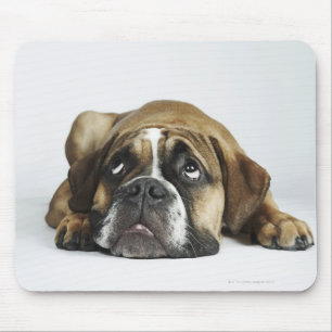 Portret van Dorset Old Tyme Bulldog Muismat
