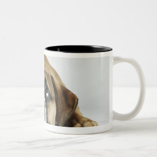 Portret van Dorset Old Tyme Bulldog Tweekleurige Koffiemok