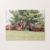 Portret van drie paarden legpuzzel (Horizontaal)
