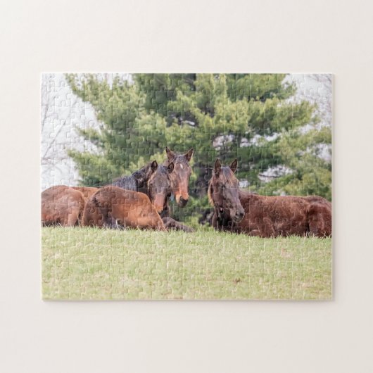 Portret van drie paarden legpuzzel (Horizontaal)