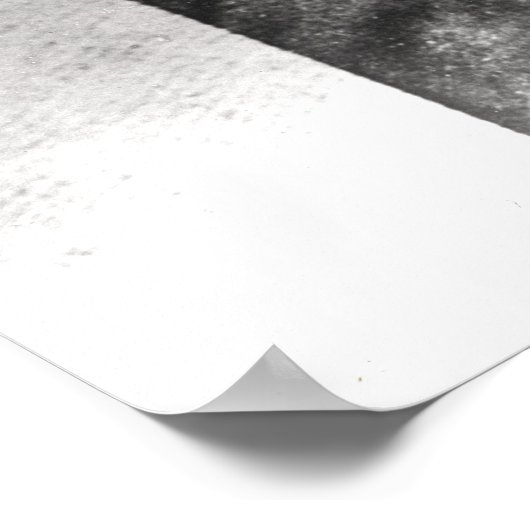 Portret van Edgar Allan Poe Poster (Hoek)