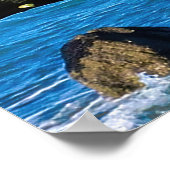 Portret van een aalscholver poster (Hoek)